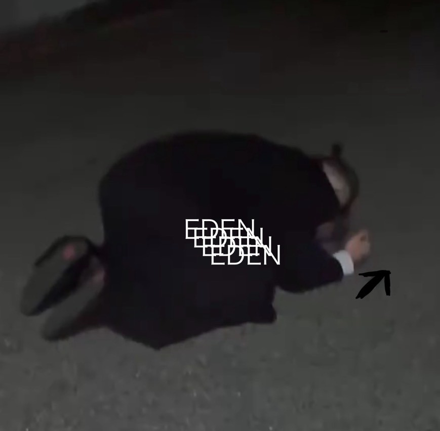 EDEN