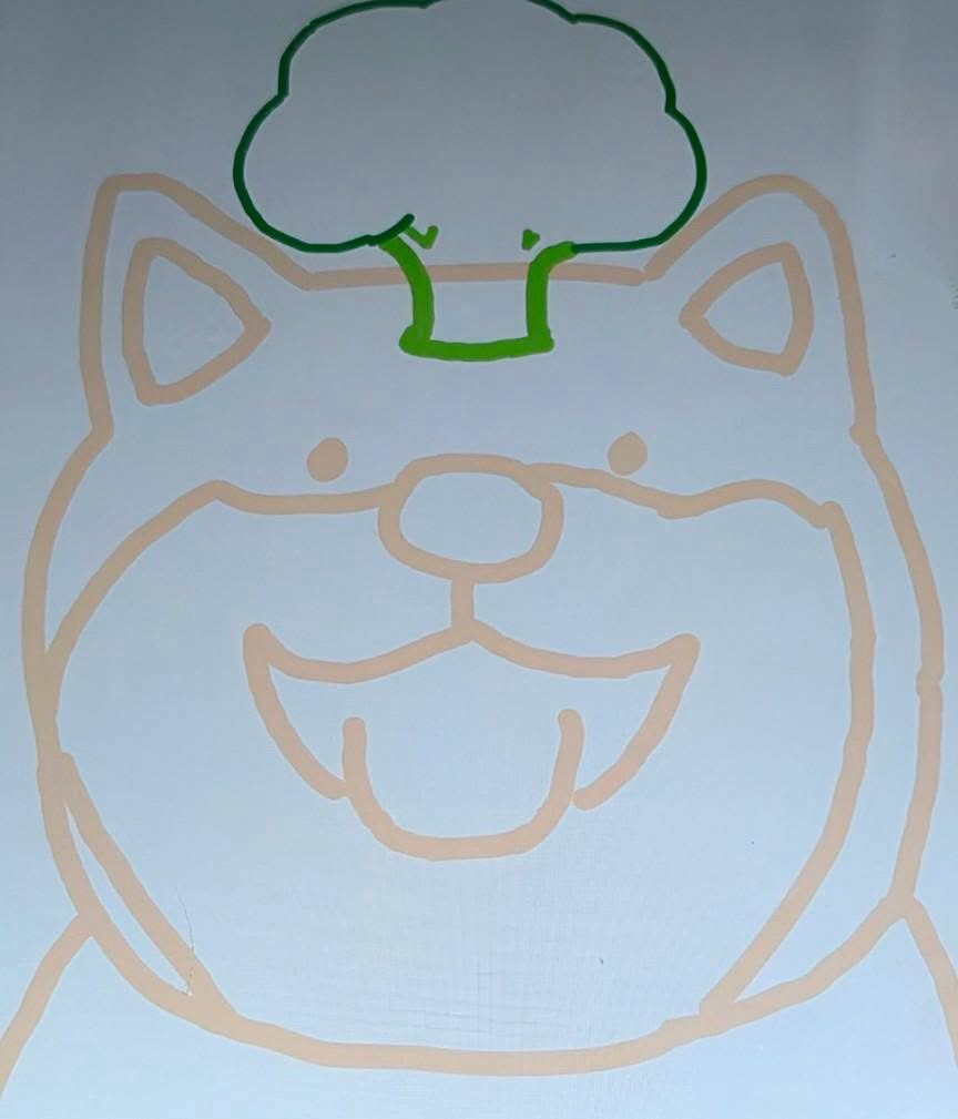 柴犬ブロッコリー